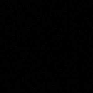 Meet your Posher, Gavin